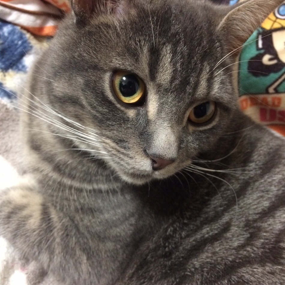 ソラくんのカバー写真