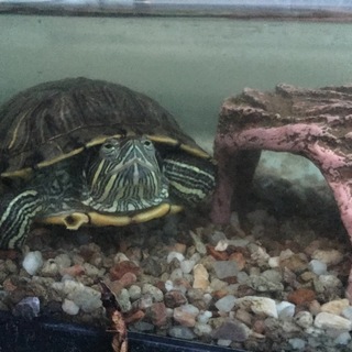 素敵な方からご連絡頂きありがとうございました！