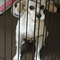 幸せにしてあげて下さい