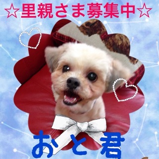 おとちゃんに素敵な家族が出来ました！