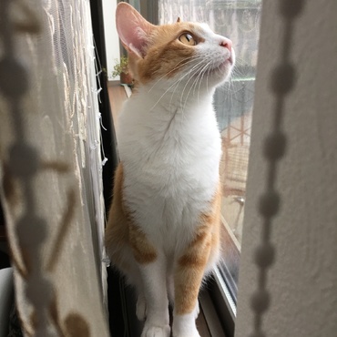少し大人になりました♡