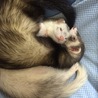 幸せそう