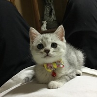 まろん