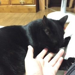 「真似っこ指しゃぶり♪」サムネイル2