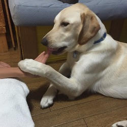 「真似っこ指しゃぶり♪」サムネイル3