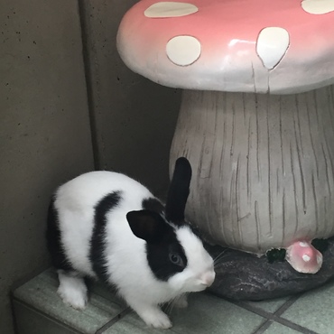 の写真