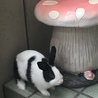 の写真