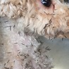 猫を追って脱走…こんなひどい姿で帰宅(;_;)