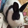 カメラ目線
