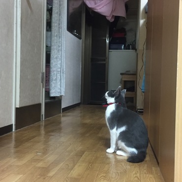 早く出てこーい！