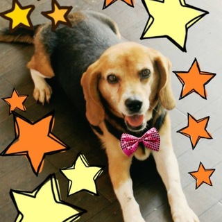 余命が大幅に延びたので再投稿します！