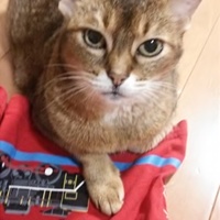 ミゲール