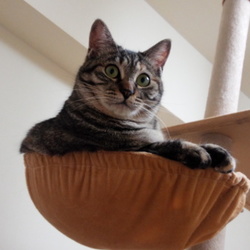 「♪お誕生日♪」サムネイル1