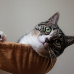 「♪お誕生日♪」サムネイル2