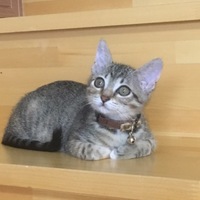 むむた