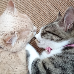 「ジェリー積極的！」サムネイル1