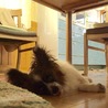 きょうも ここにいるよ