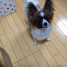 よんだ？