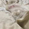 おつかれさま