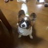 ぼくも食べたいな〜