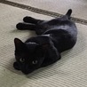 の写真