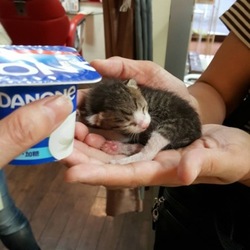 まあや生後1ヶ月位