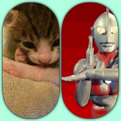 「まあや生後1ヶ月位」サムネイル2