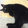 うちではこれを「オバケの手」と呼んでます。