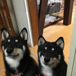 似てるかな*\(^o^)/*