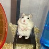  さん