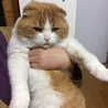 かわいくて