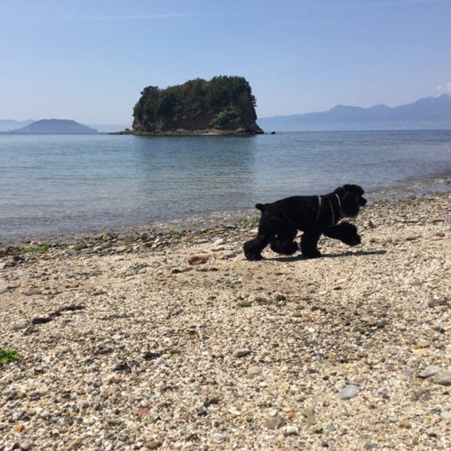 YamatoSayakaのカバー写真