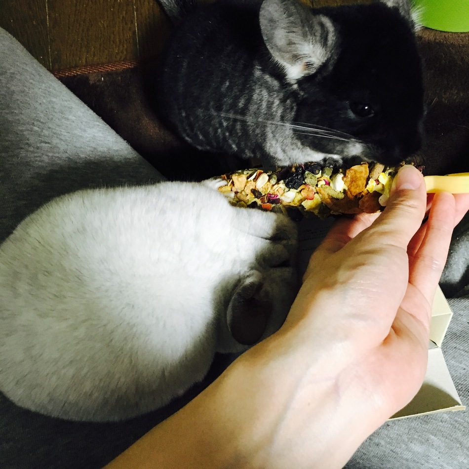 ブラッティ(ブラック)のカバー写真
