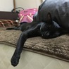 の写真