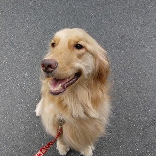 もらってもらえませんか？