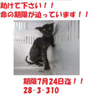 3兄弟でお迎え頂きました。感謝です(^^♪