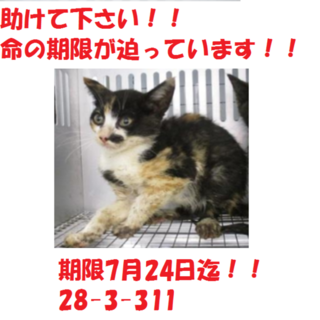 3兄弟でお迎え頂きました。感謝です(^^♪