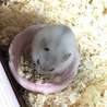 まめち＊はじめてのごはん
