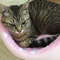 素敵な里親様に巡りあえました‼︎