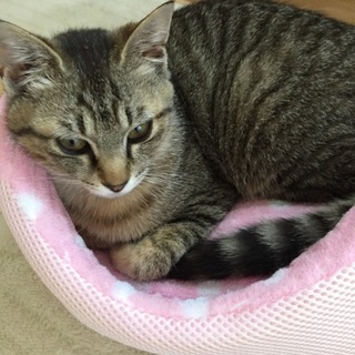 素敵な里親様に巡りあえました‼︎