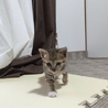 さん