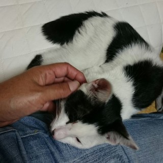 駿の家族募集中