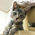 甘えん坊の男の子です！