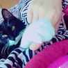 の写真