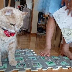 「ごはんさん一時停止」サムネイル2