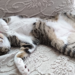 「ジェリーの開き」サムネイル1