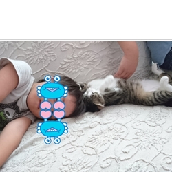 「ジェリーの開き」サムネイル2