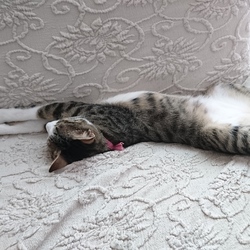 「ジェリーの開き」サムネイル3