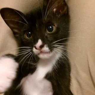 キュートな男の子☆お耳の大きなハーちゃん