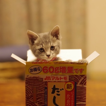 箱好きなので。